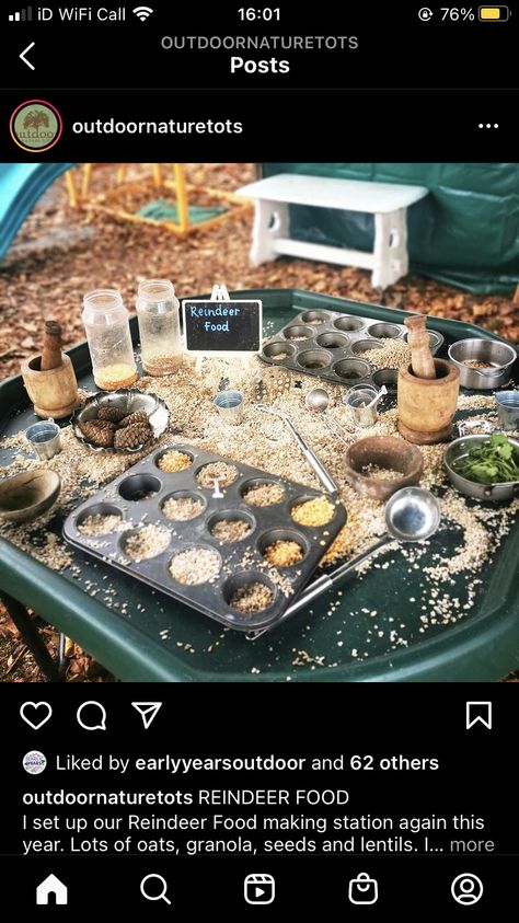 December Activities Eyfs, Christmas Forest School Activities, Forest Tuff Tray, Christmas Forest School, Curiosity Approach Christmas Ideas, Eyfs Outdoor Area Winter, Christmas Early Years, Conkers Tuff Tray, Christmas Messy Play