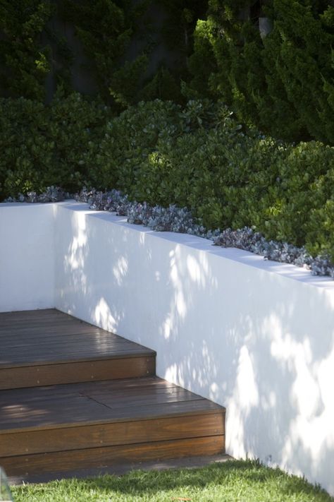 Clean White Walls, Peter Fudge, Cleaning White Walls, Feed The Soul, Modern Gardens, Garden 2023, Concrete Retaining Walls, Seaside Garden, Courtyard Gardens Design