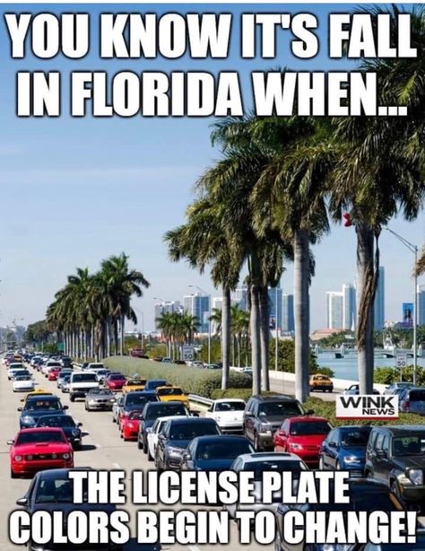 Florida funny Fall In Florida, Snow Canada, Kevin Hill, Florida Funny, Hot Weather Humor, Florida Weather, Good Morning Funny Pictures, Florida City, Florida Girl