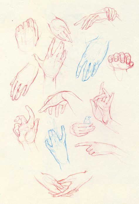 adarasanchez Adara Sanchez Anguiano, Adara Sanchez, Hand Studies, Hand Study, Hand Sketches, Figure Drawing Tutorial, Structural Drawing, Inspired Illustration, Hand Drawing Reference