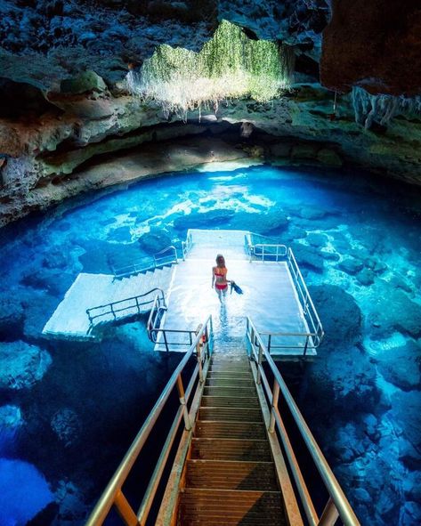 Blue Springs State Park, Northern Florida, Florida Adventures, Florida Springs, Places In Florida, Things To Do In Florida, Travel Florida, Best Vacation Spots, Florida Trip