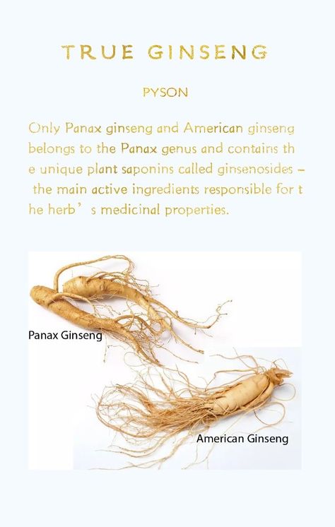 Panax Ginseng Benefits, Red Ginseng Benefits, Herbs Benefits, Ginseng Benefits, Ginseng Plant, Herb Medicine, American Ginseng, Anti Oxidant Foods, Ginseng Extract