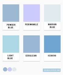 Blue Hues Color Palette, Blue Color Combination - Baby Blue And Powder Blue - 757x895 Wallpaper - teahub.io Powder Blue Color Combination, Light Blue Color Code, Palette Blue, Light Blue Paints, Blue Shades Colors, Brand Palette, Blue Color Combinations, Powder Blue Color, Blue Periwinkle