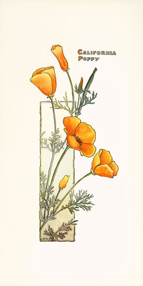 California Poppy Tattoo, California Poppy Art, Fleurs Art Nouveau, Arte Art Deco, Poppy Drawing, Huntington Library, California Poppies, Beautiful California, Poppies Tattoo