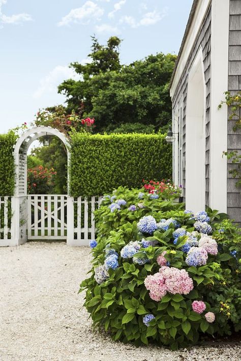 Arbor Entrance, Nantucket Gardens, Privet Hedge, Nantucket Cottage, Small Front Yard Landscaping, Front Yard Garden Design, Garden Arches, Garden Entrance, Modern Landscape Design