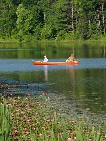 You'll love Ohio's metro attractions that rock (literally!) or how you can lull the day away in the sand and surf of the Lake Erie shore. Places To Visit In Ohio, Things To Do In Ohio, Things To Do In Cincinnati, Indiana Dunes State Park, Ashtabula County, Cedar Point Amusement Park, Kelleys Island, Ohio State Parks, Hocking Hills Ohio