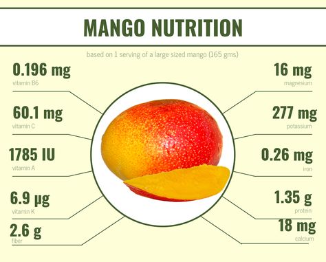 Mango Baby Food, Mango Nutrition Facts, Mango Nutrition, Baby Mango, Healthy High Protein Meals, Protein Meals, C Vitamin, Rich In Protein, Vitamin K