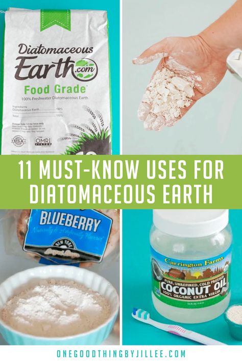 Handy household uses for food grade diatomaceous earth. Uses For Diatomaceous Earth, Diatomaceous Earth Benefits, Food Grade Diatomaceous Earth, Earth For Kids, Earth Food, Earth Clay, Diatomaceous Earth Food Grade, One Good Thing By Jillee, Natural Pest Control