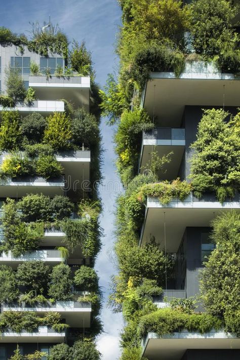 Sustainable architecture, green building with lot of plants on balcony. Sustaina , #AFFILIATE, #green, #architecture, #Sustainable, #building, #balcony #ad Green Balcony Architecture, Plant Building Architecture, Plants Growing On Buildings, Sustanible Architecture, Biophilic Balcony, Balcony Building, Building Balcony, Eco Architecture Green Building, Balcony Green