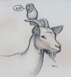 Goat Drawings Cute, Mountain Goat Drawing, Goat Drawings, Cartoon Goat, Goat Drawing, Happy Goat, Goat Art, Baby Goat, Mountain Goat