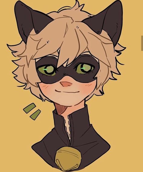 Cute Cat Noir, Miraculous Ladybug Fanfiction, Miraculous Ladybug Fan Art, Miraculous Ladybug Funny, Ladybug Comics, Miraculous Ladybug Anime, Miraculous Ladybug Comic, Animated Drawings, Book Art Drawings