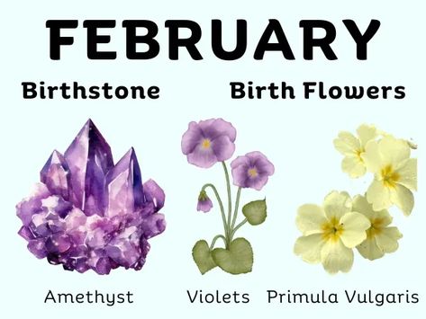 February Month Birthstone and Birth Flower February Symbols, Birth Flowers February, Month Symbols, February Stone, Birth Month Symbols, February Flower, Birth Symbols, Birth Animal, February Birth Flower