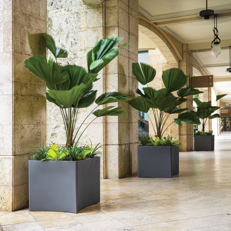 Bring the beauty of nature inside with stylish and functional indoor planters. Here’s how to choose the perfect planters and display them creatively: Styles of Indoor Planters: Modern Minimalist: Clean lines, neutral colors, and sleek designs that blend seamlessly with contemporary decor. Rustic Charm: Wooden or terracotta planters with a vintage feel, perfect for creating a cozy, natural look. Boho Chic: Woven baskets, macramé hangers, and colorful ceramic pots that add a touch of eclectic ... Vertical Planter, Improve Indoor Air Quality, Glass Planter, Square Planters, Air Purifying Plants, Terracotta Planter, Self Watering Planter, Colorful Ceramics, Wall Garden