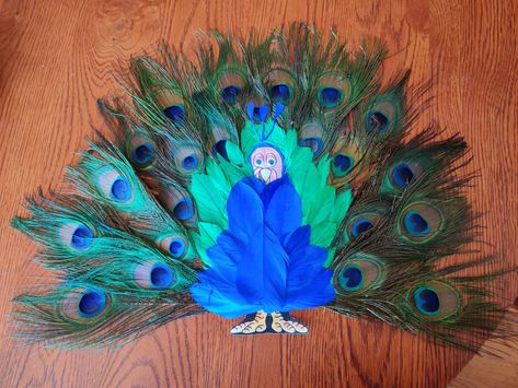 Thanksgiving project for school. Hidden turkey peacock Peacock Turkey In Disguise, Turkey In Disguise Peacock, Turkey Peacock Disguise, How To Disguise A Turkey As A Peacock, Disguise A Turkey Peacock, Hide The Turkey Ideas, Hide A Turkey Project, Hidden Turkey Projects For Kids, Hidden Turkey