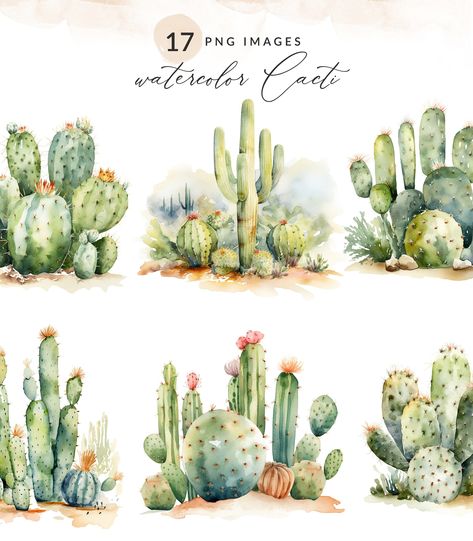 Desert Clipart, Painted Cactus, Cactus Images, Cactus Png, Cactus Clipart, Desert Scene, Watercolor Cactus, Clear Background, Botanical Drawings