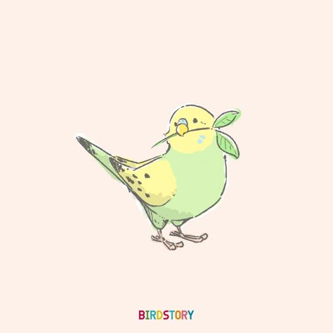 Pet Bird Drawing, Parakeet Doodle, Kawaii Bird Drawing, Parakeet Sketch, Budgie Tattoo, Parakeet Tattoo, Bird Pfp, Parakeet Drawing, Budgie Drawing