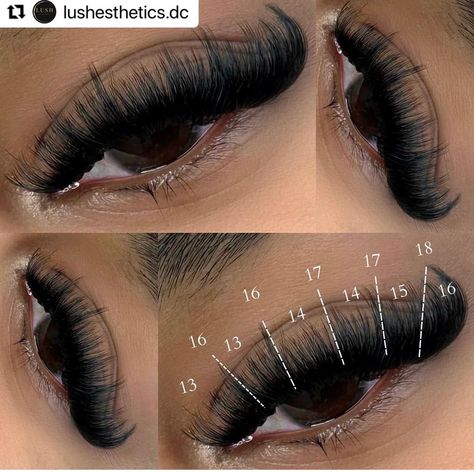 Color Lash Mapping, Lash Map, Natural Fake Eyelashes, Best Lash Extensions, Lashes Fake Eyelashes, Lashes Tutorial, Russian Volume Lashes, Wispy Eyelashes, Russian Lashes