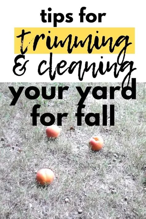 Fall Lawn Maintenance, Leaf Clean Up, Yard Cleaning, Fall Lawn, Yard Cleanup, Fall Yard, Garden Problems, All Natural Cleaners, Fall Clean Up