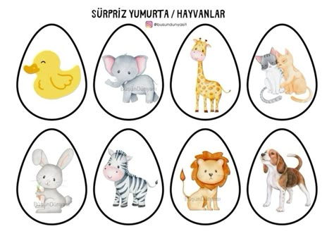 Train Preschool Activities, Animal Eggs, Trains Preschool, Preschool Creative Art, Outdoor Activities For Toddlers, Body Parts Preschool, Preschool Fine Motor Activities, Kids Activities At Home, First Day Activities