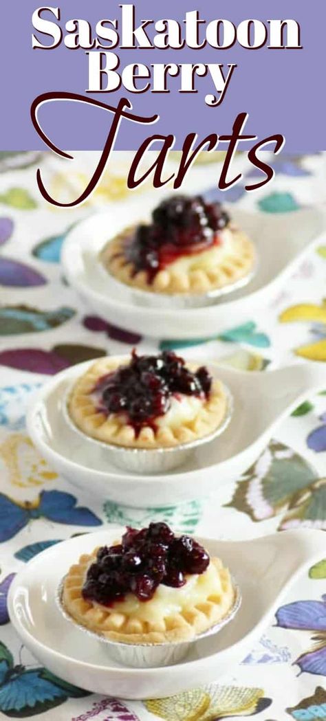 Saskatoon Berry Tart, perfect prairie dessert - Noshing With the Nolands Saskatoon Berry Butter Tarts, Saskatoon Berry Tarts, Saskatoon Pie, Saskatoon Berry Recipes, Saskatoon Recipes, Saskatoon Berry Recipe, Yummy Pie Recipes, Saskatoon Berry, Cheesecake Tarts