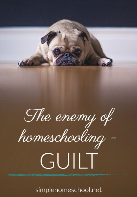 The enemy of homeschooling: Guilt - Simple Homeschool Essential Oils Quotes, Relieve Itchy Skin, Essential Oils Dogs, Animals Quotes, Calming Essential Oils, Dog Health Tips, Oils For Dogs, Dog Skin, Dog Care Tips