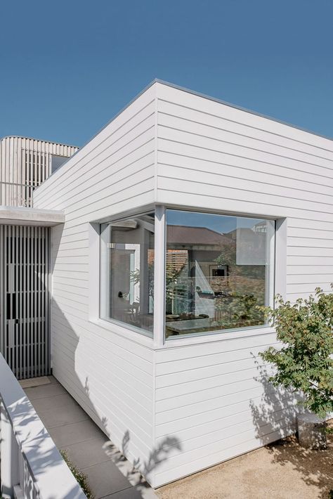 South Melbourne Beach House Flat Roof Beach House, Corner Window Exterior, Corner Window Kitchen, Corner Window Ideas, Coastal Facade, Flat Roof House Designs, Corner Windows, Flat Roof House, Houses Design