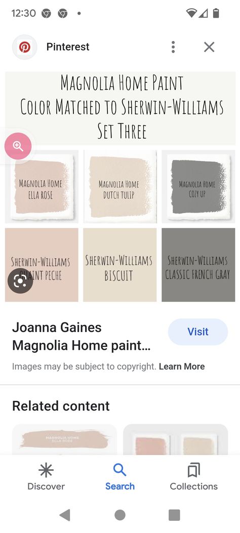 Dutch Tulip Magnolia Paint, Magnolia Homes Paint Colors Matched, Magnolia Home Paint Colors, Magnolia Homes Paint, Tulip Magnolia, Magnolia Paint, Dutch Tulip, Tulip Painting, Matching Paint Colors