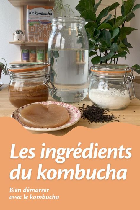 Les ingrédients indispensables pour faire votre propre boisson de kombucha ! 🥃🧑‍🍳 ► Ingrédients ✨ * une mère de kombucha fraîche bio 😍 * 5g de thé noir bio * 50g de sucre bio * 1 litre d’eau filtrée ou décantée ► Où trouver sa mère de kombucha ? Vous pouvez trouver votre mère de kombucha fraîche bio sur notre site internet : https://www.orisae.fr/ Kombucha, Site Internet, Internet