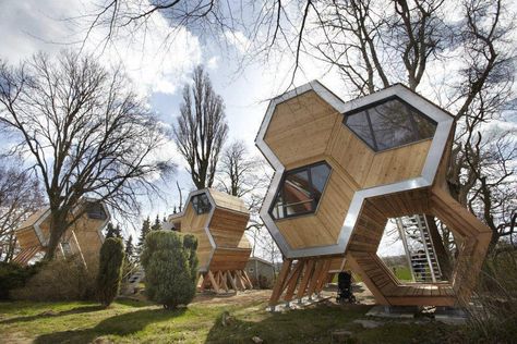 Beautiful honeycomb cabins, just perfect for our paddock Modern Tree House, Archi Design, Design Hotel, Architecture Student, Eco House, Sustainable Architecture, Sustainable Design, Architecture Details, Tree House