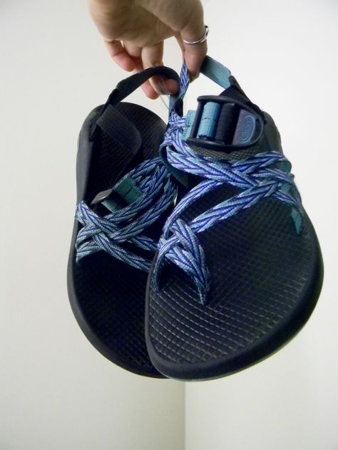 DSCN6453 How To Clean Chacos, Mens Flip Flop, Camping