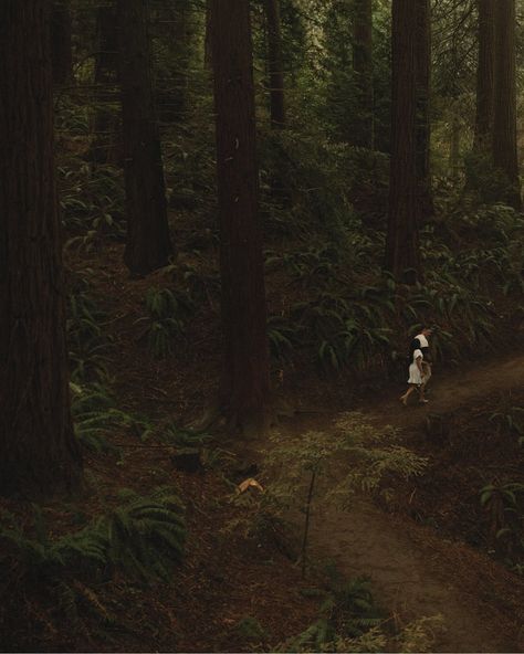 Reminiscing on this quiet afternoon running around Portland’s own little slice of Redwoods this last spring before these two said their vows this summer in Olympic National Park 🌲 I & R are special humans with a special sort of love and I will cherish the car ride from their Airbnb to the lake before the ceremony foreverrrrr #portlandengagementphotographer #portlandelopementphotographer #oregonelopementphotographer #nationalparkelopement #olympicnationalpark #portlandengagementphotos #forest... Portland Engagement Photos, Olympic National Park, Car Ride, Engagement Photographer, Elopement Photographer, This Summer, Portland, Of Love, National Park