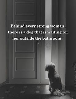 Dog Companion Quotes, Pet Lovers Quotes, Puppy Recipes, Dog Waiting, Dog Quotes Love, Dog Things, Cheetahs, Strong Woman, Waiting For Her