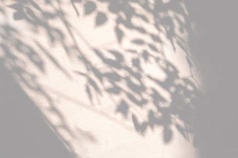 Leaf Shadow Photography, Shadow On Wall, Leaf Shadow, Shadow Tree, Shadow Overlay, Tree Shadow, Shadow Light, Mood Images, Shadow Photography