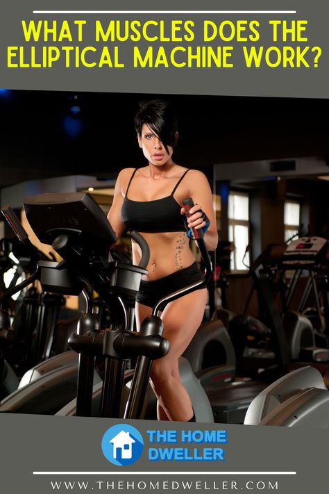 The elliptical machine is an amazing addition to every home gym. So let’s dive in and find out about each major muscle group you target with an elliptical machine. #ellipticalhiit #hiitonelliptical #ellipticalworkout #ellipticalhiitworkout Best Elliptical Machine, Elyptic Workout, Elliptical Before And After, Elliptical Benefits, Knee Fat, Transformation Images, Elliptical Machine Workout, Elliptical Workout, Elliptical Trainer