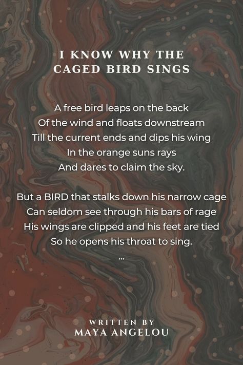 I know why the caged bird sings - I know why the caged bird sings Poem by Maya Angelou Bird Poems, Why The Caged Bird Sings, Maya Angelou Poems, Caged Bird Sings, The Caged Bird, Tree Poem, Caged Bird, The Caged Bird Sings, Maya Angelou