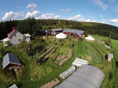 The Most Important Book in 2016 on Permaculture And Self-Reliance. Making Small Farms Work – A Pragmatic Whole Systems Approach to Profitable Regenerative Agriculture DAN WEST APRIL 13, 2016 Small Farms, Modern Agriculture, Regenerative Agriculture, Farm Business, Permaculture Design, Tree Nursery, Market Garden, Natural Ecosystem, Food Web