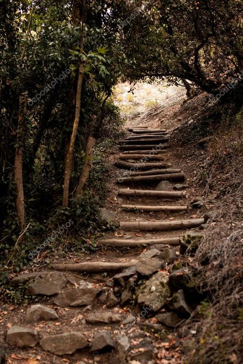 Old Wooden Stairs, Stairs Porch, Tree Tent, Wooden Stairs, Tent, Porch, Stairs, Stock Photos