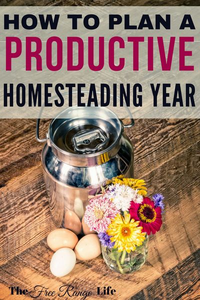 Do you have a long list of things to accomplish on your homestead? Learn the steps to having the most productive homesteading year ever! Modern Homesteading, Homesteading Diy, Homestead Farm, Homesteading Skills, Homestead Living, Urban Homesteading, Homestead Survival, Backyard Farming, Down On The Farm