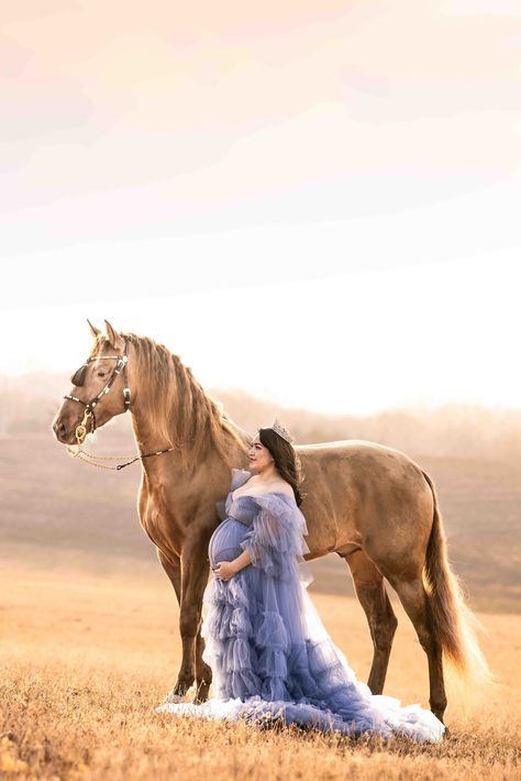 Winter equestrian Maternity photography session with Gabriella and Andalusian + Frisian horses at their family farm in Iowa | photos by traveling equine photographer, Tisha Pol Photography Maternity Pics With Horses, Maternity Photoshoot With Horse, Maternity Photography With Horses, Maternity Horse Photoshoot, Maternity Pictures With Horses, Horse Maternity Pictures, Horse Shoot, Winter Equestrian, Fall Maternity Photos