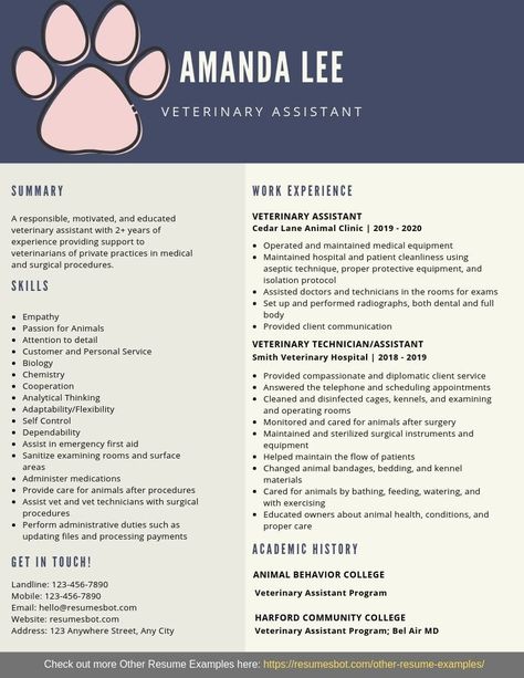 Want to create or improve your Veterinary Assistant Resume? The resume is a key document in the placement process. Check out our samples resumes or guidance & find the right template for the job. #resume #job #career #CareerAdvice #resumetips #JobSearchingtips Veterinary Assistant Tips, Resume Hacks, Veterinary Receptionist, Veterinarians Medicine, Medical Assistant Resume, Veterinary Nurse, Sales Resume Examples, Administrative Assistant Resume, Resume No Experience