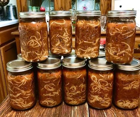 Canning Homemade Spaghetti Sauce, Canned Spaghetti Sauce, Savory Meatballs, Dehydrating Food, Pressure Canning Recipes, Home Canning Recipes, Canning Food Preservation, Homemade Spaghetti Sauce, Canned Food Storage