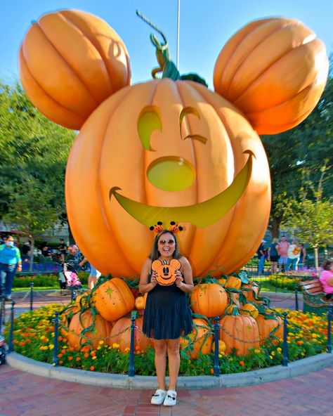 🎃Pumpkin kisses and Halloween wishes🎃 I could NOT stop thinking about the @stoneyclover pumpkin crossbody…and everyone knows I’m a pumpkin girlie…so I caved…I bought it 😅 I am OBSESSED! Naturally, I had introduced it to Blinky! I was also SO excited to see how perfectly it went with my @popflex_active pirouette dress too! 🎃 Halloween Time at Disneyland has been so much fun, I never want it to end! Have you visited Disneyland during Halloween Time? Don’t forget to visit Blinky on Main... Halloween Time At Disneyland, Popflex Active, Halloween Wishes, Halloween Time, Stop Thinking, A Pumpkin, Everyone Knows, So Excited, Disneyland