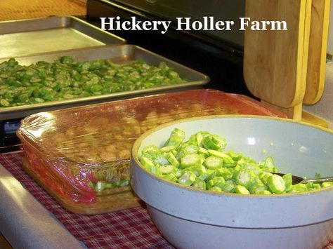 Hickery Holler Farm: Blanching Okra And Freezing Breaded Okra Breaded Okra, Freezing Veggies, Fresh Okra, Freezing Vegetables, Pickled Okra, Okra Recipes, Chicken Asparagus, Freeze Drying Food, Frozen Veggies