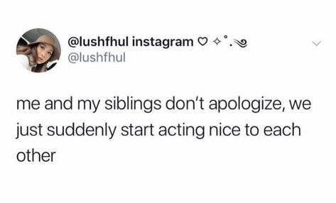 Siblings Love Aesthetic, Youngest Sibling Humor, Bro And Sis Quotes Funny, Youngest Sibling Aesthetic, Sibling Texts, Sibling Relationships Funny, Older Sibling Problems, Siblings Jokes, Older Sibling Aesthetic