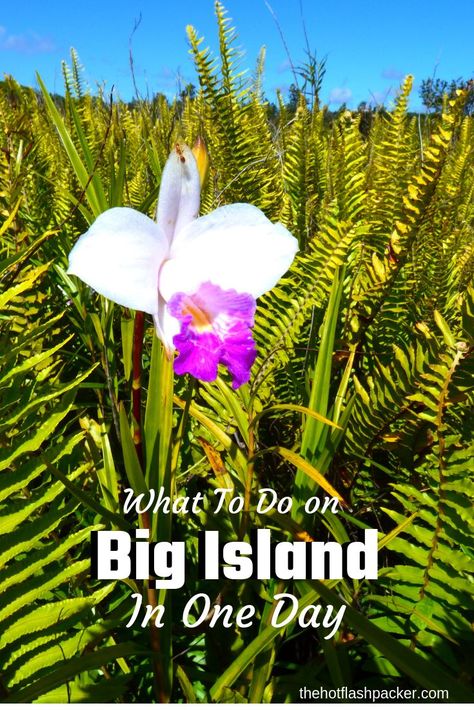 A one day itinerary for Big Island Hawaii. Mauna Kea Beach Hotel, Hawaii Vacation Tips, Big Island Travel, Hawaii Itinerary, Exotic Vacations, Hawaii Volcanoes National Park, Big Island Of Hawaii, Visit Hawaii, Island Of Hawaii