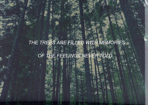 Can I be close to you? The Paper Kites, To Be Known, Tauriel, Love Never Dies, Sing To Me, Sound Of Music, Lyric Quotes, Music Lyrics, Music Is Life