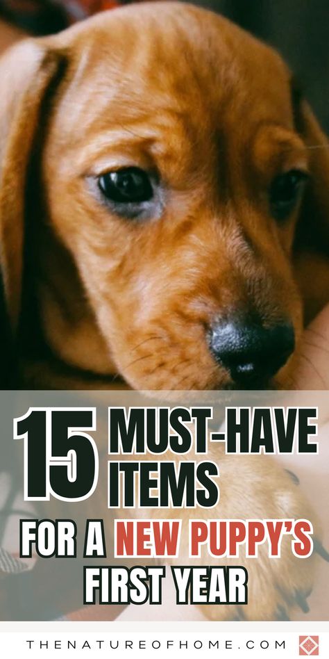 Get your new puppy off to a great start with our essential starter kit. Discover the 15 items you need to make their first year easy and enjoyable. From feeding supplies to playtime essentials, save this pin for later and make sure you’re ready. Click to learn more about these must-have items! Things Puppies Need, Puppy Starter Kit, Puppy Essentials, Puppy Pads Training, Puppy Proofing, Teething Relief, Tag Image, Leash Training, Lab Puppies