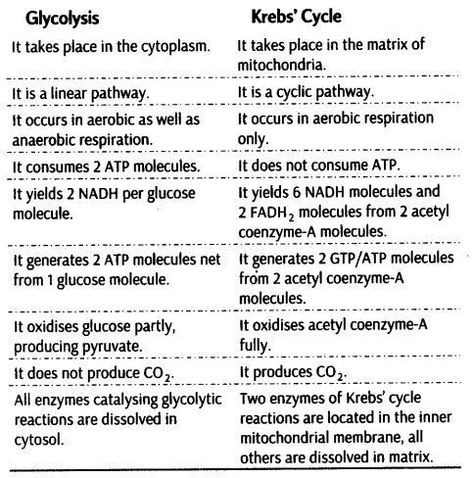 Respiration In Plants, Class 11 Biology Notes, Cell Biology Notes, Class 11 Notes, Notes Biology, Class 11 Biology, Biochemistry Notes, Neet Notes, Ncert Books