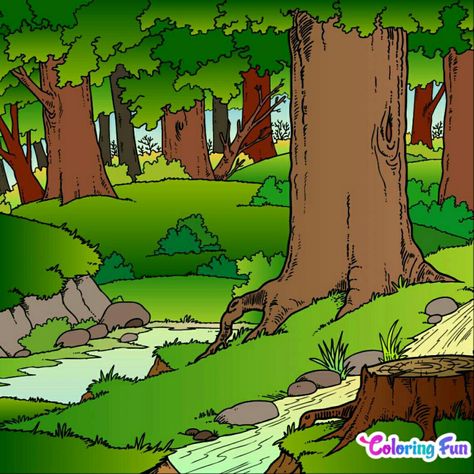 Rain Forest Drawing Easy, Rain Forest Drawing, Forest Drawing Easy, Jazz Cat, Forest Drawing, Aesthetic Forest, Background Ideas, Rain Forest, Drawing Easy