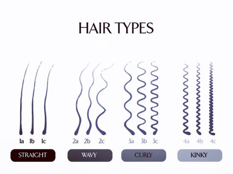 1a-4c Hair Knowledge, Curl Types, Hair Science, Animation Types, Type 4 Hair, Hair Locks, Corte De Cabelo Masculino, Types Of Curls, Type 4